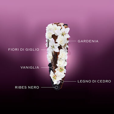 Ginza Night Eau De Parfum Intense, 