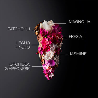 Ginza Eau De Parfum 50ml Holiday Kit, 