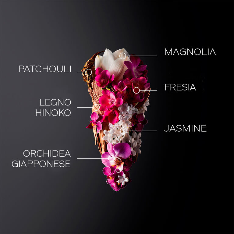 Ginza Eau De Parfum 50ml Holiday Kit, 