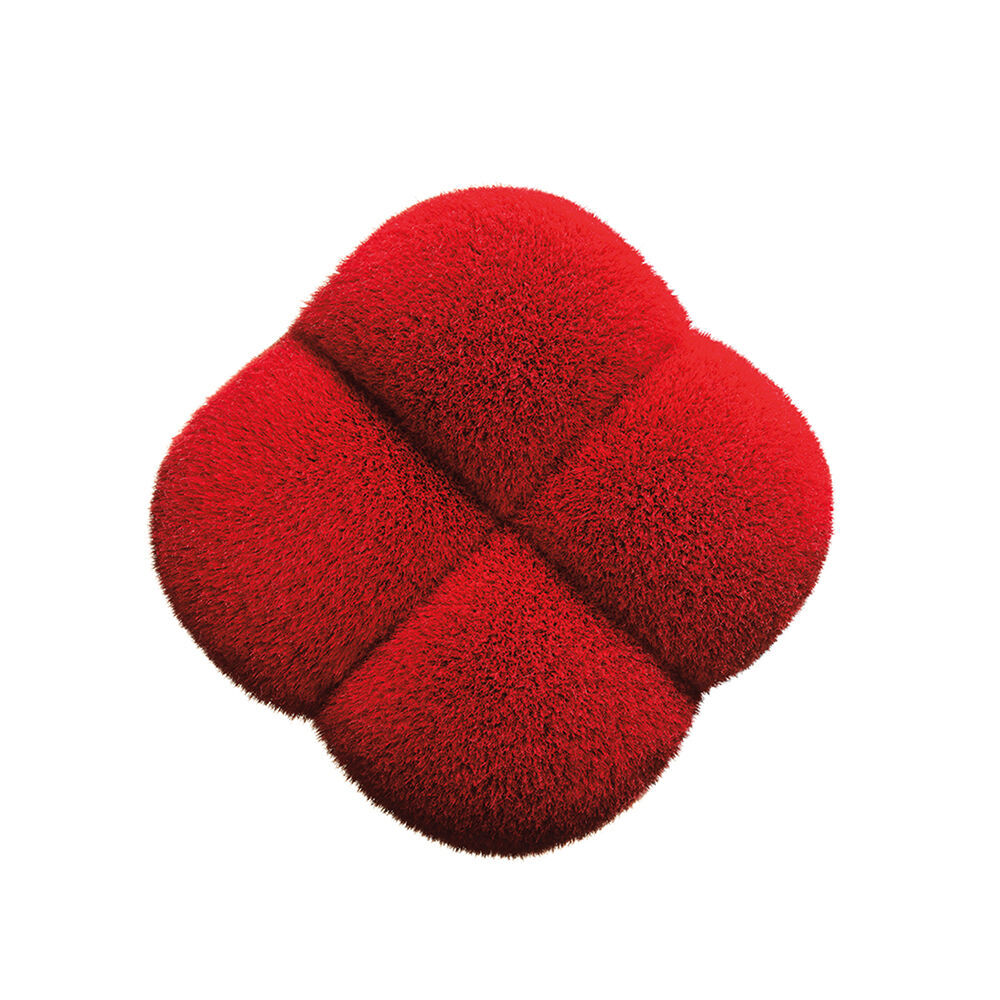 Shiseido HANATSUBAKI HAKE Polishing Face Brush