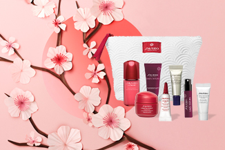 Virtual skincare consultation