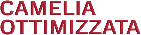 Camellia Optimized