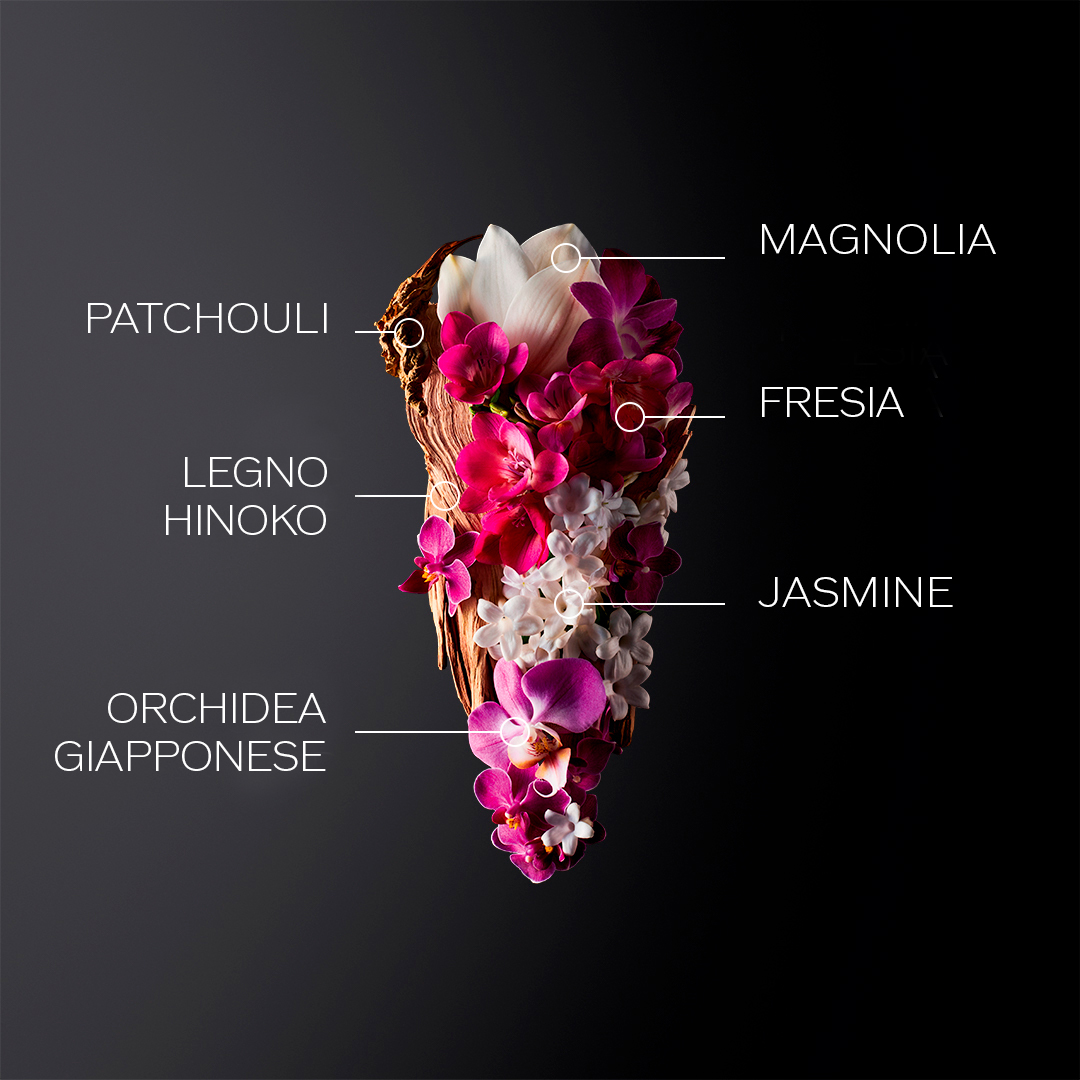 Ginza Eau De Parfum 50ml Holiday Kit, 