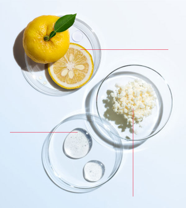Shiseido Eudermine ingredients visual