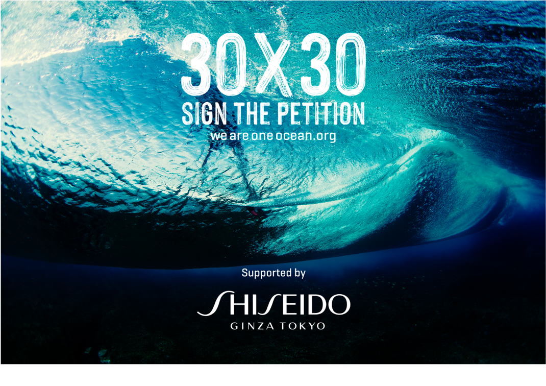 SHISEIDO BLUE PROJECT: RISPETTA GLI OCEANI, PROTEGGI LA BELLEZZA